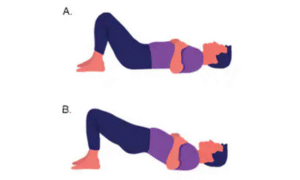 Bridge exersise for lower back pain