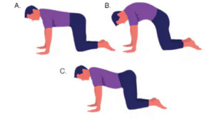 Stretching exersise at home for lower back pain