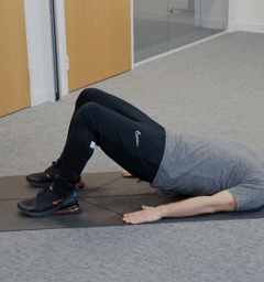 Pelvic exersise for lower back pain 